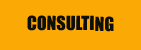 Consulting